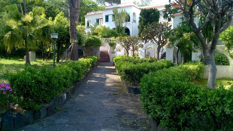 ايسكيا Villa Iscla Maison D'Hotes المظهر الخارجي الصورة